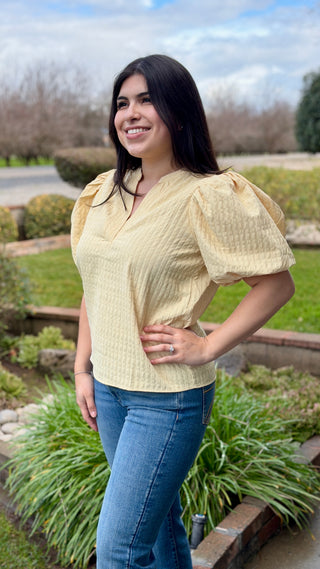 Textured V-Neck Puff Sleeve Blouse