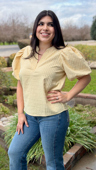Textured V-Neck Puff Sleeve Blouse
