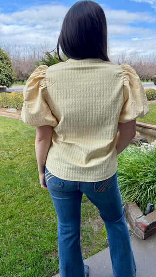 Textured V-Neck Puff Sleeve Blouse