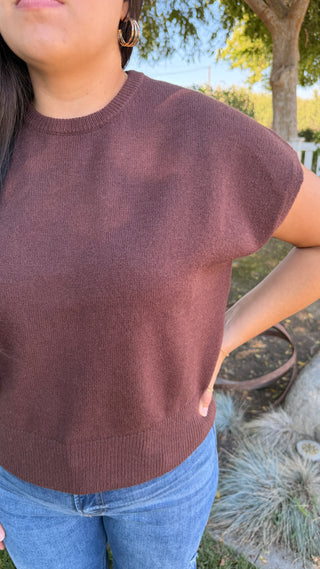 The Loose Short Sleeve Sweater Top