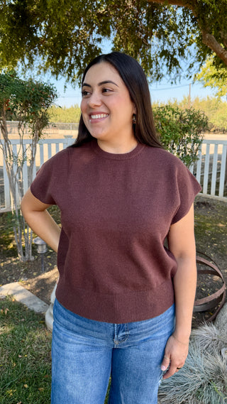 The Loose Short Sleeve Sweater Top