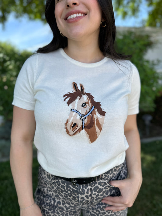 The Destiny Sweater Tee
