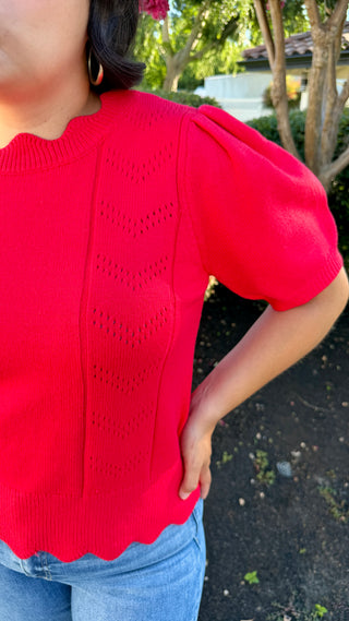 Scallop Edge Lightweight Sweater Top