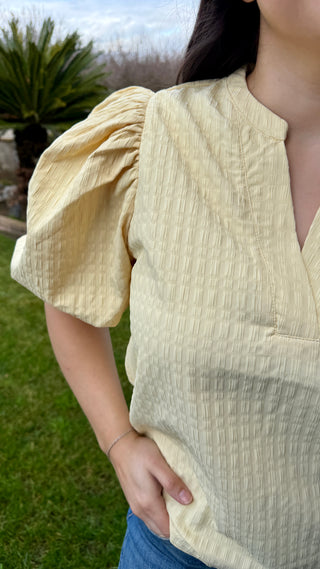 Textured V-Neck Puff Sleeve Blouse